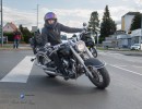 dsc verbessert rr