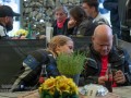 dsc verbessert rr