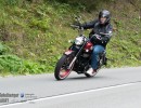 dsc verbessert rr